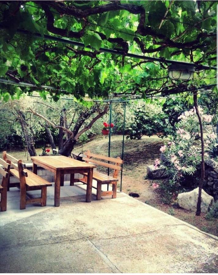 Villa Divna لابين المظهر الخارجي الصورة